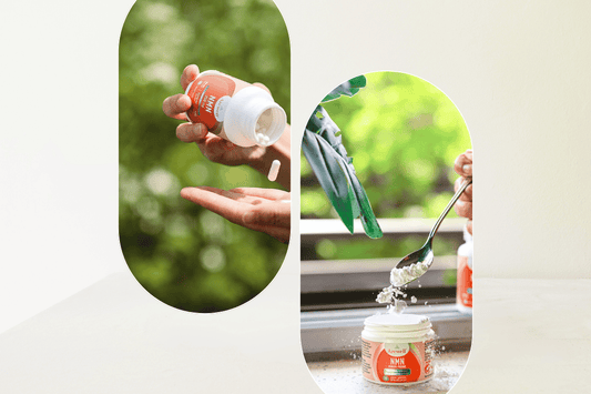 Arcwell NMN Capsules vs. Powder