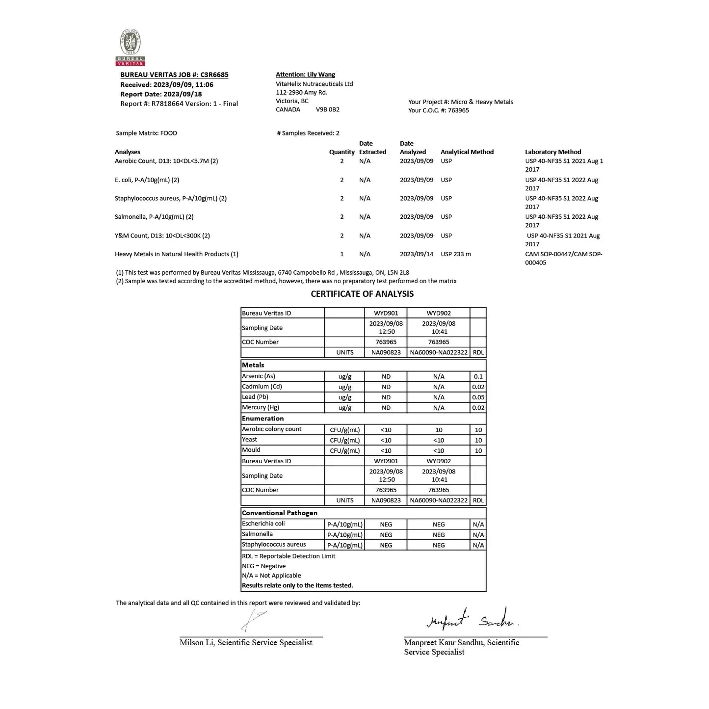 Arcwell NAC N-acetyl-l-cysteine, 600 mg, glutathione precursor, coa, test report